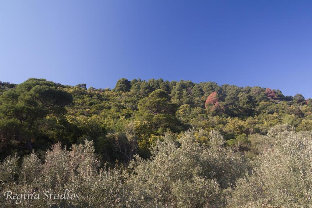 Skalopati Studios & Villa Panormos  Exterior foto